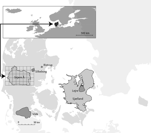 Figure 2. Location of study sites in Denmark and the extent of the HIRHAM domain covering northern Europe.