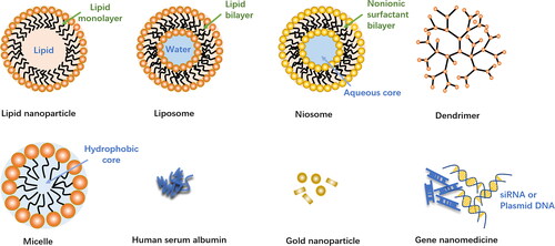 Figure 4. The schematic of nanoparticles.