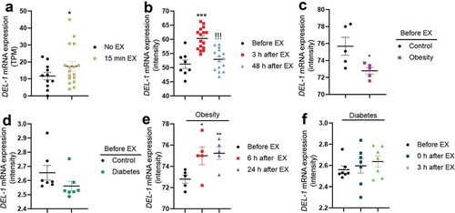 Figure 1. Exercise induces DEL-1 gene expression in human skeletal muscle. (a) Gene expression (TPM; transcripts per million) in resting and exercise for 15 min using RNAseq analysis. (b) gene expression of pre-exercise, 3 h post-exercise and 48 h post-exercise using microarray analysis. Gene expression of normal and obese (c)/diabetic (d) pre-exercise using microarray analysis. (e) gene expression of obese pre-exercise, 6 h post-exercise and 24 h post-exercise using microarray analysis. (f) gene expression of diabetic pre-exercise, 0 h post-exercise and 3 h post-exercise using microarray analysis. ***P < 0.001 and *P < 0.05, when compared to DEL-1 gene expression in control. !!!P < 0.001, when compared to 3 h post-exercise