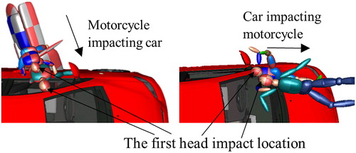 Figure 2. Typical kinematics and head impact locations of the rider and the child pillion passenger.