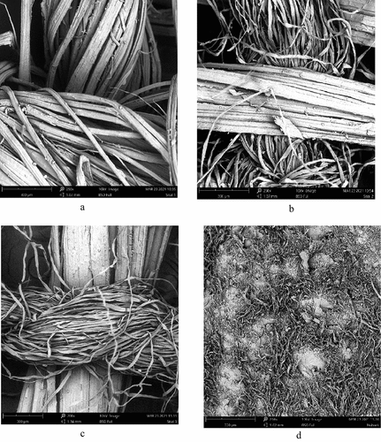 Figure 7. Scanning electron micrographs of sisal based fabrics and cow nubuck leather showing the grain surface at a magnification of 250 × . (a) S1; (b) S2; (c) S3; (d) cow nubuck Leather.