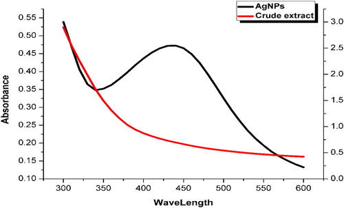 Figure 1. UV absorption (λmax) of P. wallichiana stem extract and AgNPs.