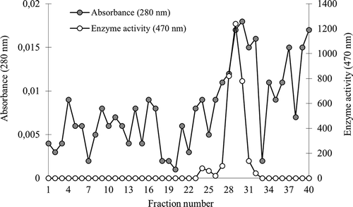 Figure 1 Cation exchange chromatography of POD from sweet gourd (Cucurbita moschata L.): elution profile of unbound fraction from CM-Sephadex A-50 obtained in 0.1 M sodium phosphate buffer (pH 8.0) as 5-mL fractions.