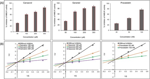 Figure 7. The bar graphs (upper panels, 7A) represent the % inhibition of in-vitro HMG-R activity in the presence or absence of carvacrol (IC50 = 78.23 µM), geraniol (IC50 = 72.91 µM) and pravastatin (IC50 = 58.12 nM). The values of % inhibition are expressed as mean ± SEM from triplicate assays for each concentration. The Significance was defined as ***p < 0.001. The lower panel 7B represents the Lineweaver–Burk plot for the inhibition of HMG-R in the absence and presence of inhibitor at varying concentrations (100, 200 and 300 µM) and substrate at varying concentrations (i.e. 66.66, 133.33 and 266.66 µM). Note: The concentration of pravastatin is in nM.