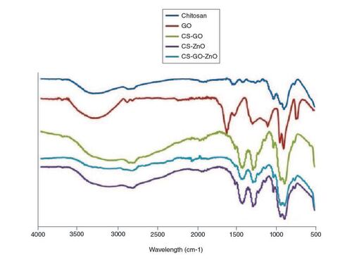 Figure 3. Fourier transform infrared spectra of CS, GO, ZnO, CS–ZnO CS–GO and CS–ZnO–GO hybrid structure.CS: Chitosan; CS–ZnO CS–GO: Chitosan–Zinc oxide Chitosan–Graphene oxide; CS–ZnO–GO: Chitosan–Zinc oxide–Graphene oxide; GO: Graphene oxide; ZnO: Zinc oxide.