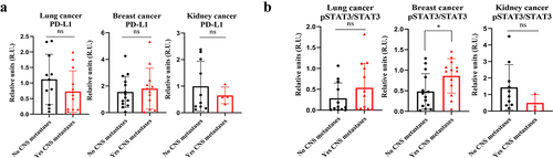 Figure 4. Analysis of PD-L1 and pSTAT3/STAT3 expression by Western blot in plasma-circulating sEVs from patients with lung, breast or kidney cancer. a. Quantification of PD-L1 expression levels and statistical analysis of samples obtained. The data obtained for PD-L1 in densitometry were normalized to Ponceau values (see Supplementary Figure 4). b. Quantification of pSTAT3/STAT3 expression levels and statistical analysis of samples obtained. * p value 0.03. ns: not significant.