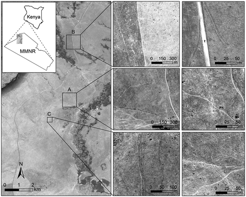 Figure 1. A depiction of the three pilot study sites in the Masai Mara National Reserve (MMNR), Kenya. The insert in column 1 shows the location of the study area, column 2 (top) and column 3 (top) shows a designated road, column 2 (middle) and column 3 (middle) show off-road tracks, and column 2 (bottom) and column 3 (bottom) shows animal paths. Satellite image © 2009 Maxar Technologies.
