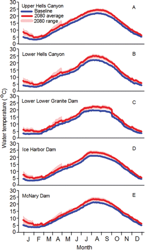 Figure 43. Baseline (1991‒2006 average) and adjusted 2080 daily mean temperatures for Upper Hells Canyon (panel A), Lower Hells Canyon (panel B), Lower Granite Dam (panel C), Ice Harbor Dam (panel D), and McNary Dam (panel E). Refer to the Appendix to see how temperatures were simulated starting with information provided by Hamlet et al. (Citation2010).