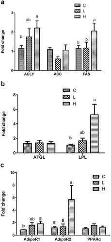Figure 1. The effects of dietary rhamnolipids (RLs) supplementation on the expression of genes involved in lipid synthesis (panel a), lipolysis (panel b) and lipid metabolism regulation (panel c) in the liver of 42-day-old broilers. ACLY, ATP- citrate lyase; ACC, acetyl-CoA carboxylase; FAS, fatty acid synthase; ATGL, adipose triglyceride lipase; LPL, lipoprotein lipase; C: 0 mg/kg RLs; L: 100 mg/kg RLs; H: 1000 mg/kg RLs.