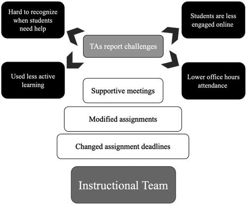 Figure 2. This model illustrates the types of ERT support that TAs received.