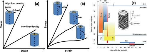 Figure 1. Influence of fiber density (a) and microfibril angle (MFA) (b) on stress-strain behavior and mechanical properties of natural fibers (c) Tensile modulus of different natural fibers as a function of their microfibril angle (Balla et al. Citation2019). Reprinted with the permission from Elsevier.