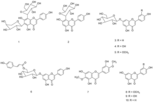 Figure 4.  Flavonoids isolated from L. leonurus.