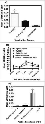 Figure 2. Anti-α− Syn antibody responses elicited by PSDC or rh- α− Syn or rh- sensitized DC vaccines as measured by ELISA. (A) Ten days following the initial vaccination PSDC administered Tg (i.e. Tg PSDC) mice demonstrated a significantly higher anti-α−Syn antibody response, measured by OD450nm values, than did Tg mice vaccinated with rh-α− Syn sensitized DCs (i.e., Tg rh-α− Syn). OD450nm binding values are also provided for non-sensitized PSDC vaccinated mice (i.e. Tg DC Control). (B) Time course of anti-α− Syn antibody responses from analysis of sera from either PSDC (i.e., Tg PSDC) or rh-α− Syn DC sensitized (i.e. Tg rh-α− Syn DC) vaccinated mice. OD450nm binding values are also provided for non-sensitized DC vaccinated mice (i.e., Tg DC Control) (C) Demonstration that sensitization of DCs with peptide fragment C resulted in the highest anti-α− Syn peptide antibody responses of the 3 peptides tested. For analysis of data presented in (A), (B) and (C) above statistical significance was determined by the student t test with differences being significant at the 0.05 level and are indicated by *.