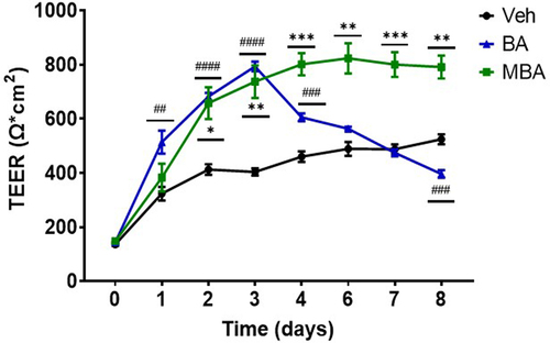 Figure 5. Epithelial barrier formation response to MBA and BA.