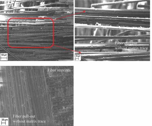 Figure 6. Fracture surface SEM image of tap water-soaked specimens.