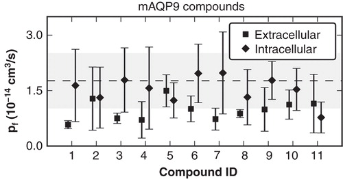 Figure 3. Computed pf values from molecular dynamics (MD) simulations with the hAQP9 homology model in complex with mAQP9 inhibitors. Compounds were ranked according to their inhibitory effect of mAQP9. The values represent the mean from four individual subunits of the tetramer and the error bars indicate the standard deviation. As a reference, the pf computed from two separate MD simulations without inhibitors is depicted with a dashed line (average) and a gray area (standard deviation). Compounds binding to the extracellular site suppressed water permeability more (average pf = 0.96 +/− 0.55 × 10-14 cm3/s) than binding to the intracellular site (average pf = 1.5 +/− 0.85 × 10-14 cm3/s). However, the computed pf values of the individual molecules did not correlate with measured activities on mAQP9 (data not shown).