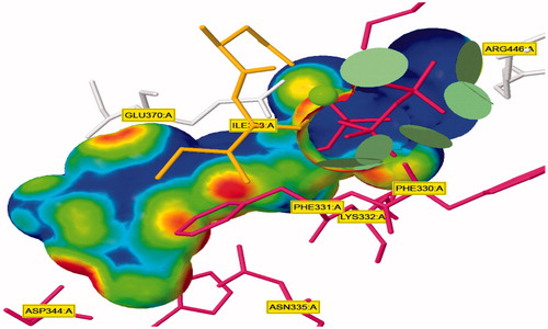 Figure 9. Close-up view of ligand binding pocket crystal structure of the response regulator, within a bound dimer of c-di-GMP which make specific contacts to the ligand in the crystal structure.