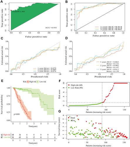 Figure 4 Appraisal of the performance in prognostic signature. (A) The optimal cutoff value for the risk score from the ROC curve for 3-year survival. (B) ROC curves for 1-, 2-, and 3-year survival. (C) Calibration curves of original prognostic signature. (D) Calibration curves for internal validation by the Bootstrap method. (E) Kaplan-Meier survival analysis for high-risk and low-risk groups. (F) Risk curve for high-risk and low-risk groups. (G) Scatter plot of vital status by risk score.