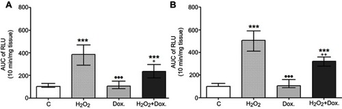 Figure 3 Effects of H2O2 and doxycycline on (A) Superoxide anion and (B) ROS production in HSV grafts after H2O2 incubation and doxycycline treatment for 16 hrs. Control group is considered as 100. ***p≤0.001 Control vs H2O2, Control vs H2O2 + Dox; +p≤0.05, ++p≤0.01 H2O2 vs H2O2 + Dox; •••p≤0.001 H2O2 vs Dox.; (n=6); Friedman test followed by Conover test. All data are expressed as median and range (min-max).Abbreviations: RLU, relative light unit; AUC, area under curve; C, control; Dox., doxycycline.