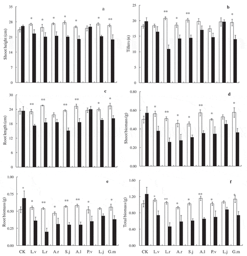 Figure 3. Shoot height (a), tillers (b), root length (c), shoot biomass (d), root biomass (e), total biomass per pot (f) of Poa pratensis when inoculated with sterilized or un-sterilized rhizosphere soil from different poisonous plants. The filled columns are AM fungi inocula treatments (un-sterilized) and the open columns are non-AM fungi treatments (sterilized). Bars represent means ± SE, * indicates p < 0.05, ** indicates p < 0.001