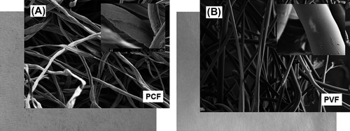 Figure 2. Representative optical/SEM micrographs nonwoven fabrics: (A) PCF; and (B) PVF.