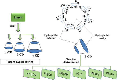 Figure 1 Schematic representation of α-, β-, and γ-Cyclodextrin, and the chemical derivatization of β-CD molecule.