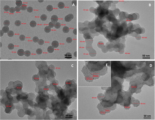 Figure 5. TEM images of P4VP-b-PS nanoparticles (A) and Fe3O4@P4VP-b-PS nanoparticles prepared through dispersion polymerization. The molar ratio of FeCl3:P4VP is 1:10 in (B), 1:5 in (C), 1:2 in (D). (E) the enlarged TEM picture of (D). (Note: the molar ratio of Fe3+:Fe2+is 1:1 in all samples.).