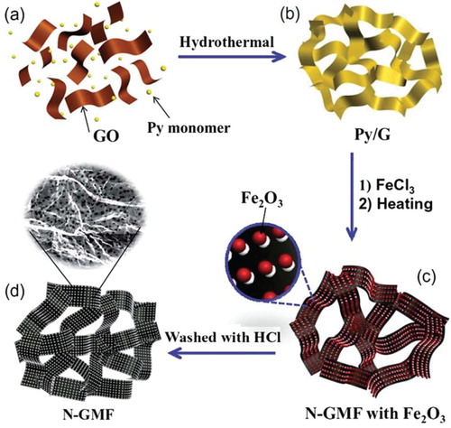 Figure 13. The fabrication of N-doped hG foam (N-GMF). (a) Pyrrole (Py) monomer dispersed in a GO suspension. (b) Three-dimensional polypyrrole/graphene (Py/G) obtained after hydrothermal treatment. (c) N-GMF with intercalated Fe2O3 nanoparticles. (d) N-GMF after being washed with HCl. Reproduced from Ref. [Citation84] with permission from The Royal Society of Chemistry.