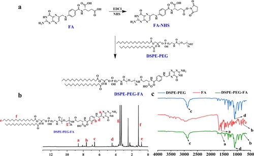 Figure 3. (a) Synthetic route of DSPE-PEG-FA (DSPE-PEG-NH2). (b) 1H-NMR spectrum of DSPE-PEG-FA. (c) FT-IR spectra of DSPE-PEG-NH2, FA and DSPE-PEG-FA.
