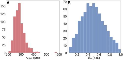 Figure 2 The rAiDA and R0 distributions for the 695 participants. (A) The rAiDA distribution is skewed, largely due to the outliers at rAiDA >400. Note that one participant had an rAiDA value close to 600 µm. (B) The R0 distribution approached a normal distribution with a mean recovery of 50% at an imaginary zero seconds breath-hold.