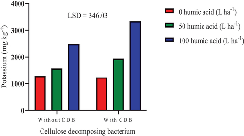 Figure 8. Effects of humic acid and cellulose decomposing bacterium interaction on soil exchangeable potassium.