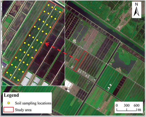 Figure 2. RS image of the study area and spatial distribution of the sampling points.
