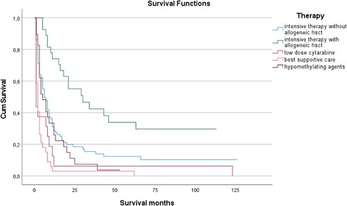 Figure 1. Kaplan-Mayer analysis of overall survival depends on therapeutic regimen applied. Patients who were judged eligible for and treated with induction chemotherapy followed by allogenic stem cell transplantation showed a significantly better outcome as patients without consolidation with allogenic stem cell transplantation. Not surprisingly, prognoses were worst for those patients who only received palliative treatment with low-dose AraC or best supportive care.