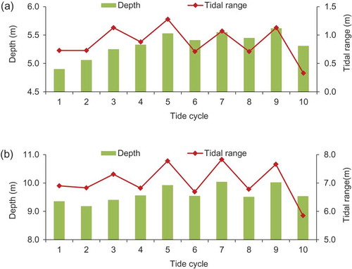 Figure 6. Average depths and tidal ranges in each tide cycle at (a) Station A and (b) Station B.