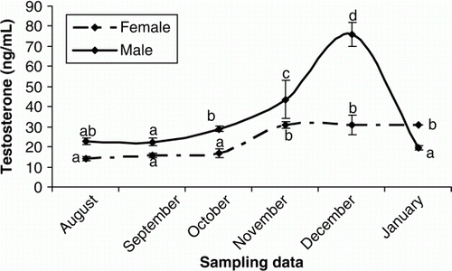 Figure 5.  Changes in plasma T of male and female cultured Caspian brown trout during the experimental period. Means with same superscripts are not significantly different (p>0.05).