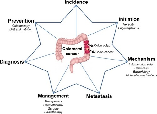 Figure 1 Aspects of colorectal cancer that offer broad focal points for studies and research investigations.