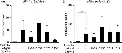Figure 5. nAg10 decreases mRNA expression of a placental angiogenesis marker in BeWo cells. BeWo cells were treated for 48 h with forskolin alone or with forskolin (50 µM) containing nAg10 (0.039, 0.078, or 0.156 µg/mL), nAu10 (0.156, 0.612, and 2.5 µg/mL), or H-89 (10 µM). The expression of sFlt-1 e15a mRNA of the (a) nAg10- and (b) nAu10-treated cells was analyzed by real-time reverse transcription–polymerase chain reaction. The relative expression level of each gene was analyzed after normalization to that of Actin. Data are presented as means ± S.D. of three independent experiments; *p < 0.05.