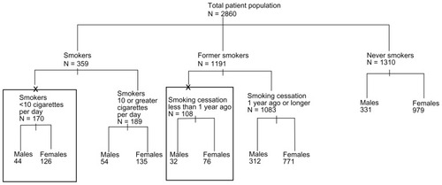 Figure 1 Division of the patient population based on smoking history and sex.