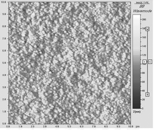 FIG. 1 Atomic force microscopy images of bFGF-loaded chitosan nanoparticles.