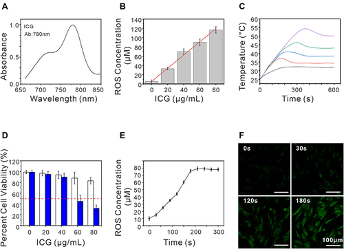 Figure 1 The total and intracellular ROS generation via ICG/aPDT. (A) UV-vis absorption spectra of ICG; (B) ROS production dynamics for different ICG concentrations under 808 nm laser irradiation; (C) Temperature variation curves of the ICG solution under different concentrations after treatment with 808 nm laser irradiation (40 µg/mL ICG, 1.65 W/cm2, from 0 to 10 min); (D) Cell viability after treatment with various ICG doses with or without 808nm laser irradiation; (E) ROS production curve converting 0 to 5 min; (F) Fluorescence intensity of DCF via different times.