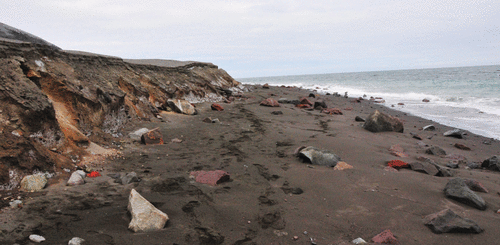 Figure 6 Coastline along the east side of Kasatochi Island, 22 August 2008, about 2 weeks after the eruption. The beach width at this time was about 2–3 meters, and the bluff on the left is about 1 m in height. The pyroclastic deposits exposed along the coastline are highly susceptible to wave erosion.