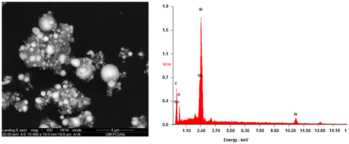 Figure 4. SEM micrograph (left) and EDS analysis (right) of S4 (Bi/Bi2MoO6/g-C3N4) composite.