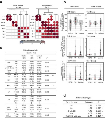 Figure 2. T cell non-inflamed triple negative breast tumors are associated with a Th17 phenotype.(a) Representation of the Pearson correlation matrix of the T cell cytokine expression levels (log-transformed and normalized to the T cell infiltrate) for T-low (n = 53) and T-high (n = 53) tumors. Cut-off of significance was set up to a P-value strictly inferior to 0.05 and a correlation coefficient superior or equal at 0.7. (b) Boxplots representing the levels of each Th score among the three molecular subclasses of breast cancers: Luminal, TN and HER2+, for T-low (n = 53) and T-high (n = 53) tumors. The score values correspond to the mean of the expression of the cytokine belonging to the same cluster of high correlation defined in Figure 2a for T-low tumors. In a first step, cytokine expressions were normalized to the T cell infiltrate, log-transformed and scaled, as in Figure 1(e). Comparisons were made using the Wilcoxon-Mann-Whitney test. (c) Univariate analysis: table of comparison of all clinical variables and the T cell infiltrate with the breast cancer subtypes (n = 106). Comparisons were made with a fisher exact test. (d) Multivariate logistic regression was performed to explain the differences between Luminal and TN molecular subtypes (n = 94); variables found significant (P < .05) in the univariate analyses (Figure 2(b and c)) were included in this analysis along with interaction between Th scores and T infiltrate. “Th1 X T infiltrate” (resp. “Th17 X T infiltrate”) represent the interaction term between Th1 (resp. Th17) and the T infiltrate percentage. Model selection was done by backward stepwise search with Akaike information criterion (AIC). Significance was annotated as follows: . P ≤ 0.10; * P ≤ 0.05; ** P ≤ 0.01; *** P≤ 0.001. T-low tumors: T cell non-inflamed tumors; T-high tumors: T cell inflamed tumors; TN: Triple negative; HER2+: Her2 amplified; EE: Elston Ellis Grade; NPI: Nottingham prognostic index; NA: Not available.