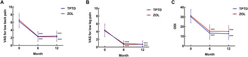 Figure 1 Clinical scores before, 6 months and 12 months after surgery of patients in the TPTD and ZOL groups. (A) average VAS score for low back pain, (B) average VAS score for leg pain, (C) average ODI score. ***P<0.0001 compared to preoperation within group.