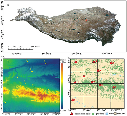 Figure 1. The location of the study area on the Tibetan Plateau June 2020 (a); the elevation of the study area (b); and the distribution of the 10 soil moisture observation sites in the study area (c).