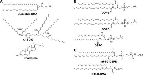 Figure 1 Structures of lipids used for RNA delivery.Notes: (A) Cationic lipids and lipidoids. (B) Phospholipids. (C) PEG lipids, cholesterol.Abbreviations: DOPC, 1,2-dioleoyl-sn-glycero-3-phosphatidylcholine; PEG, polyethylene glycol; DOTAP, 1,2-dioleoyl-3-trimethylammonium-propane; DSPC, 1,2-distearoyl-sn-glycero-3-phosphocholine; PEG-C-DMA, 3-N-[(ω-methoxypoly(ethylene glycol)2000)carbamoyl]-1,2-dimyristyloxy-propylamine; mPEG-DSPE, 1,2-distearoyl-sn-glycero-3-phosphoethanolamine-N-[methoxy(polyethylene glycol)-2000].