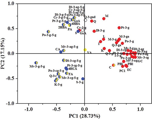Figure 3. Loading plots of different phenolic compounds in PC1 and PC2. A colored phenolic spot meant that the phenolic compound was positively correlated with its painted color.