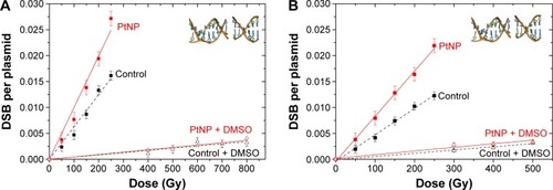 Figure 4 DSBs induced by protons at 0.44 keV/μm (A) and 3.6 keV/μm (B) in samples in the presence of PtNPs (Image), PtNPs with DMSO (Image), in the control (■), and in the control with DMSO (Δ).Abbreviations: DMSO, dimethyl sulfoxide; DSB, double-strand break; PtNP, platinum nanoparticle; SSB, single-strand break.