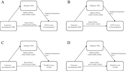 Figure 2 The mediation effects of maternal FPG in first trimester on the association of maternal pre-pregnancy BMI with fetal biometry measurements. (A–D) respectively represented the mediation effects of maternal FPG in first trimester on the associations of pre-pregnancy BMI with EFW during mid pregnancy, EFW during late pregnancy, birth weight, and birth height. All models were conducted and adjusted for maternal age, education level, physical activity level, parity, GWG throughout pregnancy, family history of hypertension disease, and family history of diabetes.