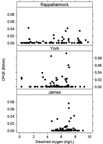 Figure 5. Adult Atlantic Croaker CPUE (fish/m) versus dissolved oxygen concentration (mg/L) in the Rappahannock, York, and James rivers during May–August 2011.